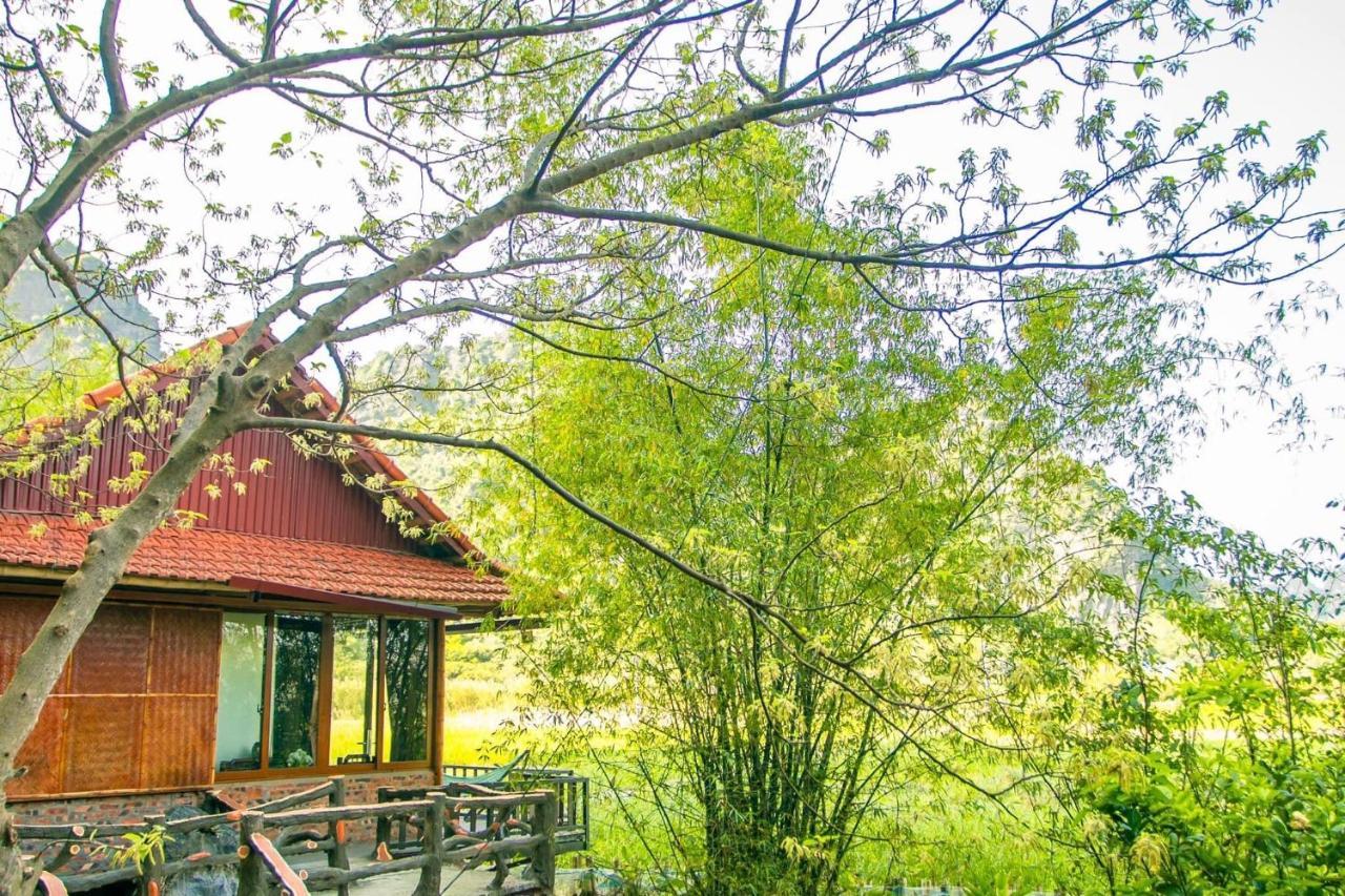 נין בין Lotus Field Homestay מראה חיצוני תמונה