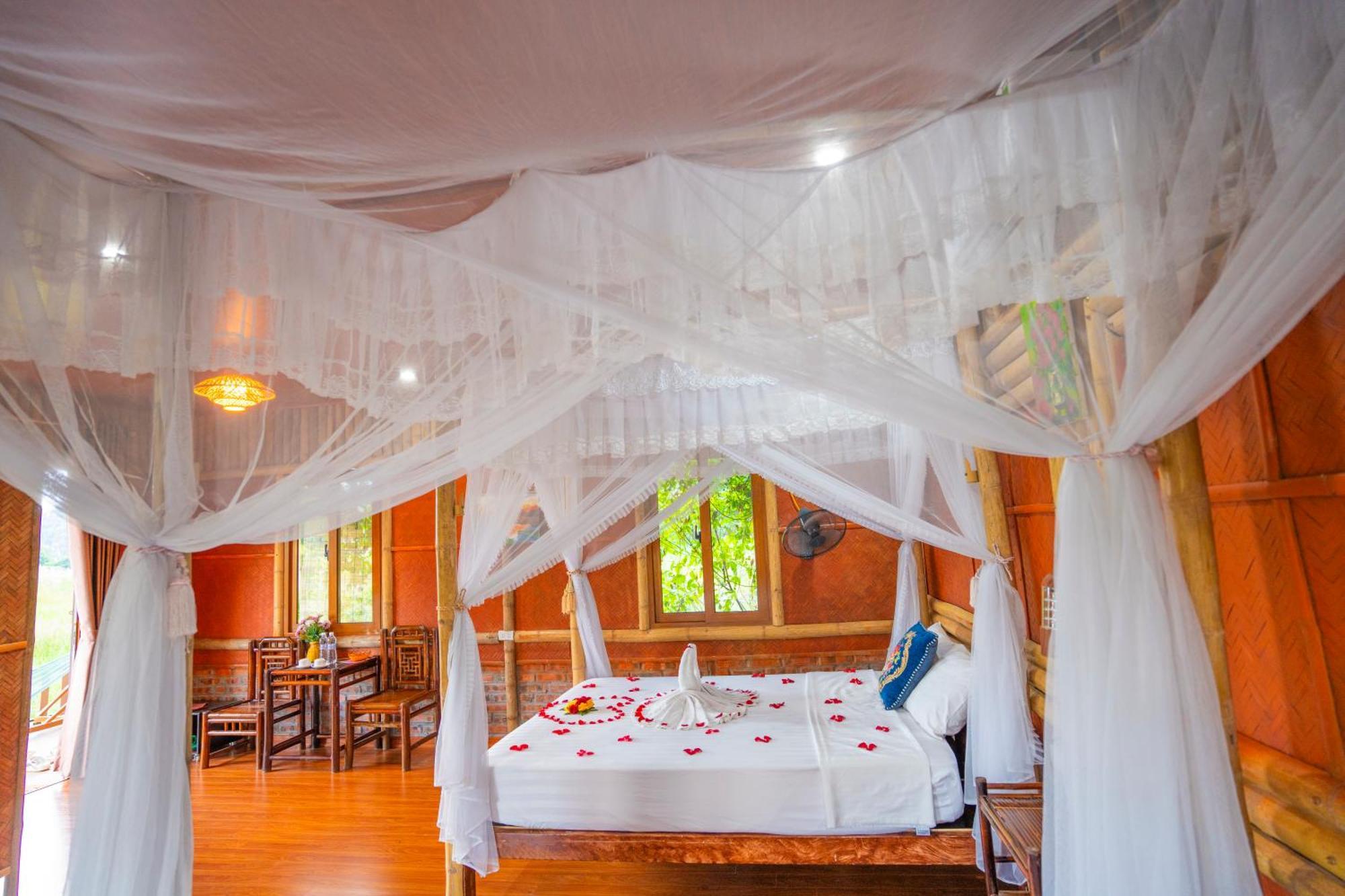 נין בין Lotus Field Homestay מראה חיצוני תמונה
