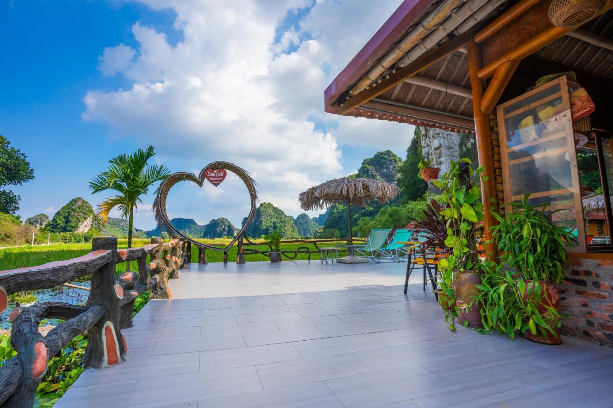 נין בין Lotus Field Homestay מראה חיצוני תמונה