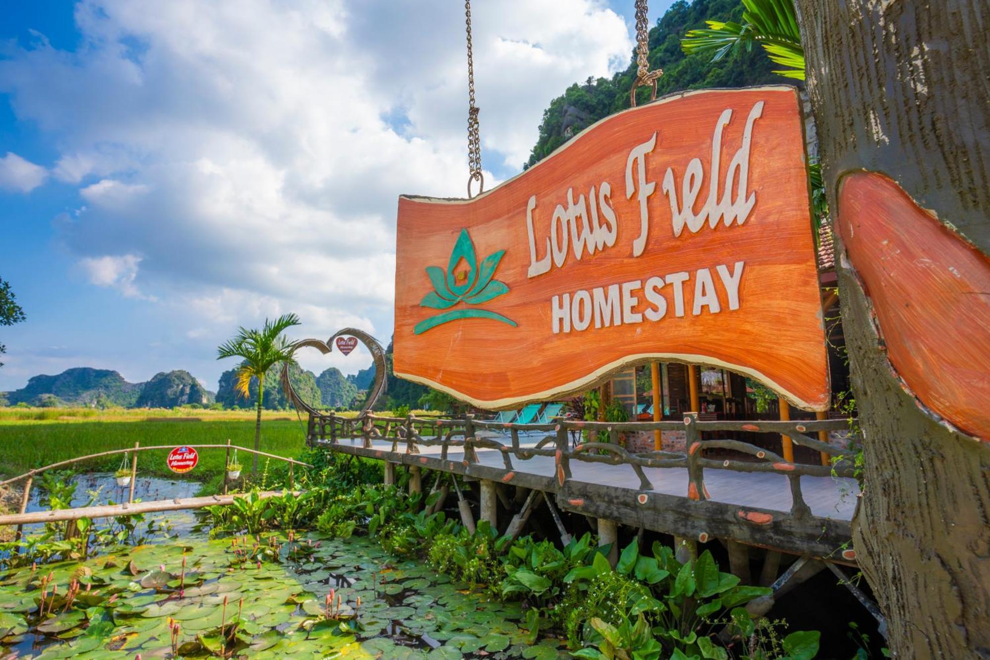 נין בין Lotus Field Homestay מראה חיצוני תמונה