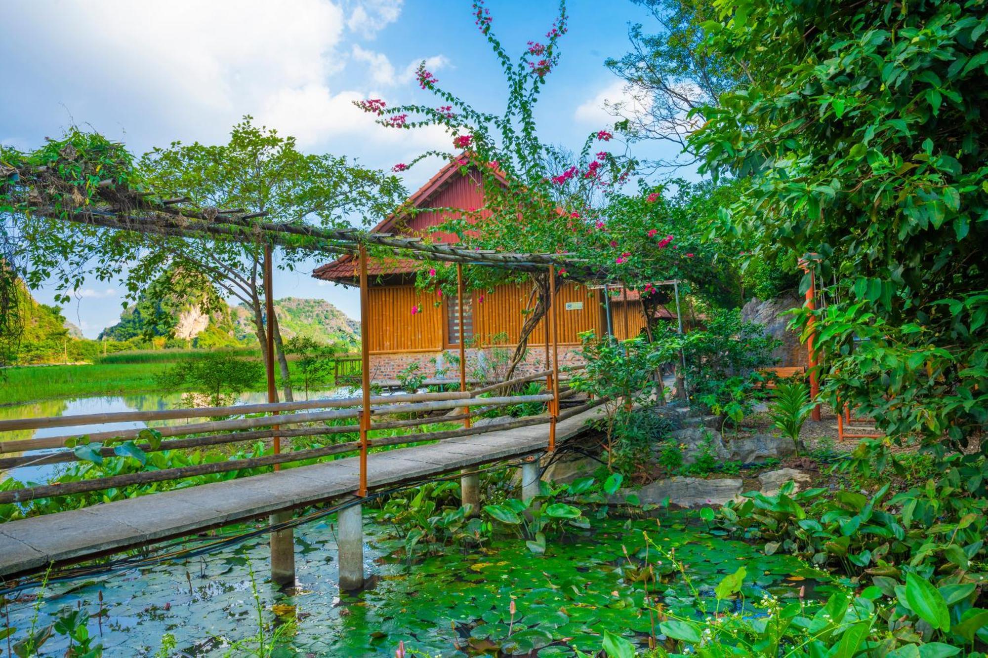 נין בין Lotus Field Homestay מראה חיצוני תמונה
