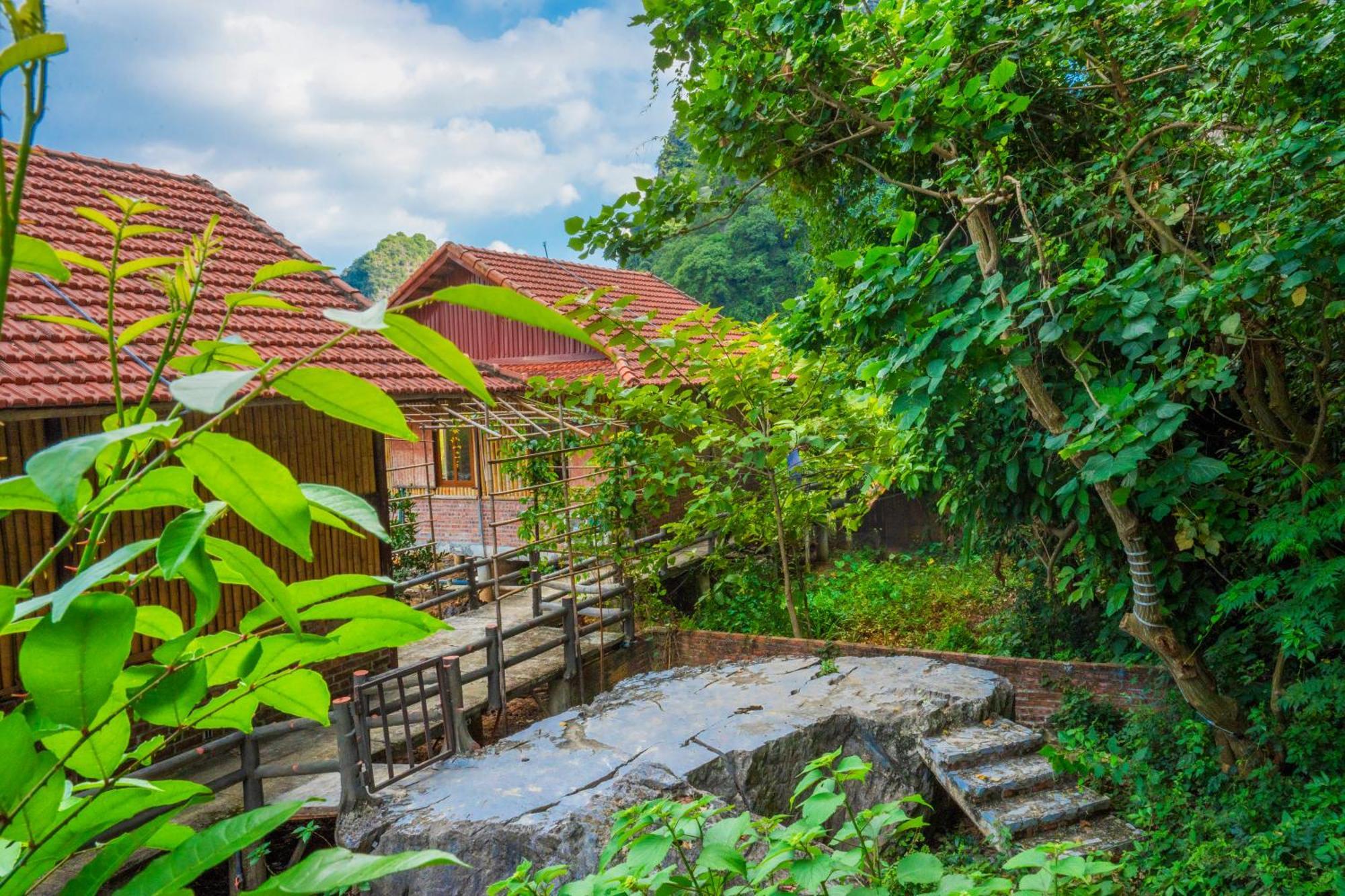 נין בין Lotus Field Homestay מראה חיצוני תמונה