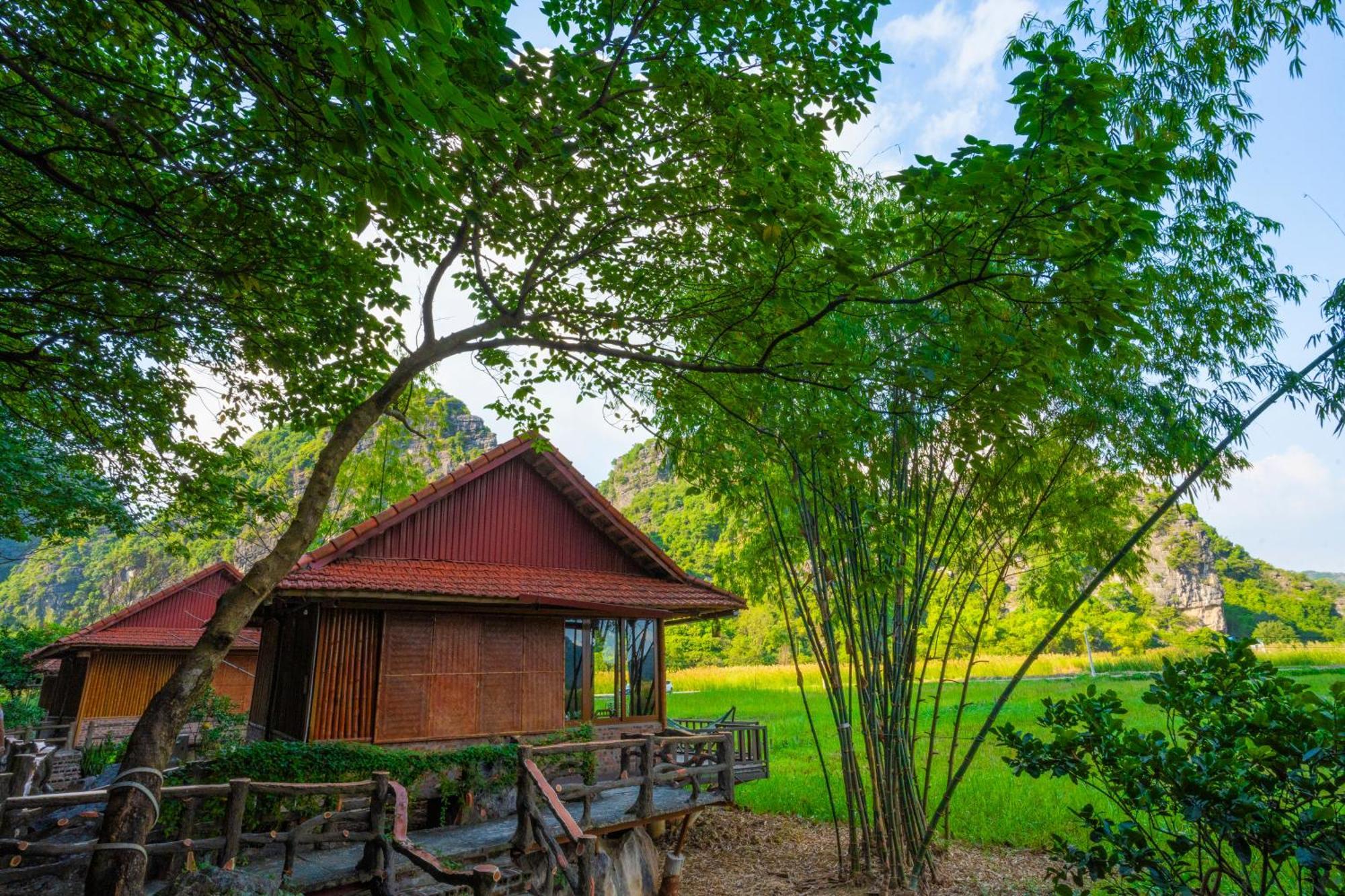 נין בין Lotus Field Homestay מראה חיצוני תמונה