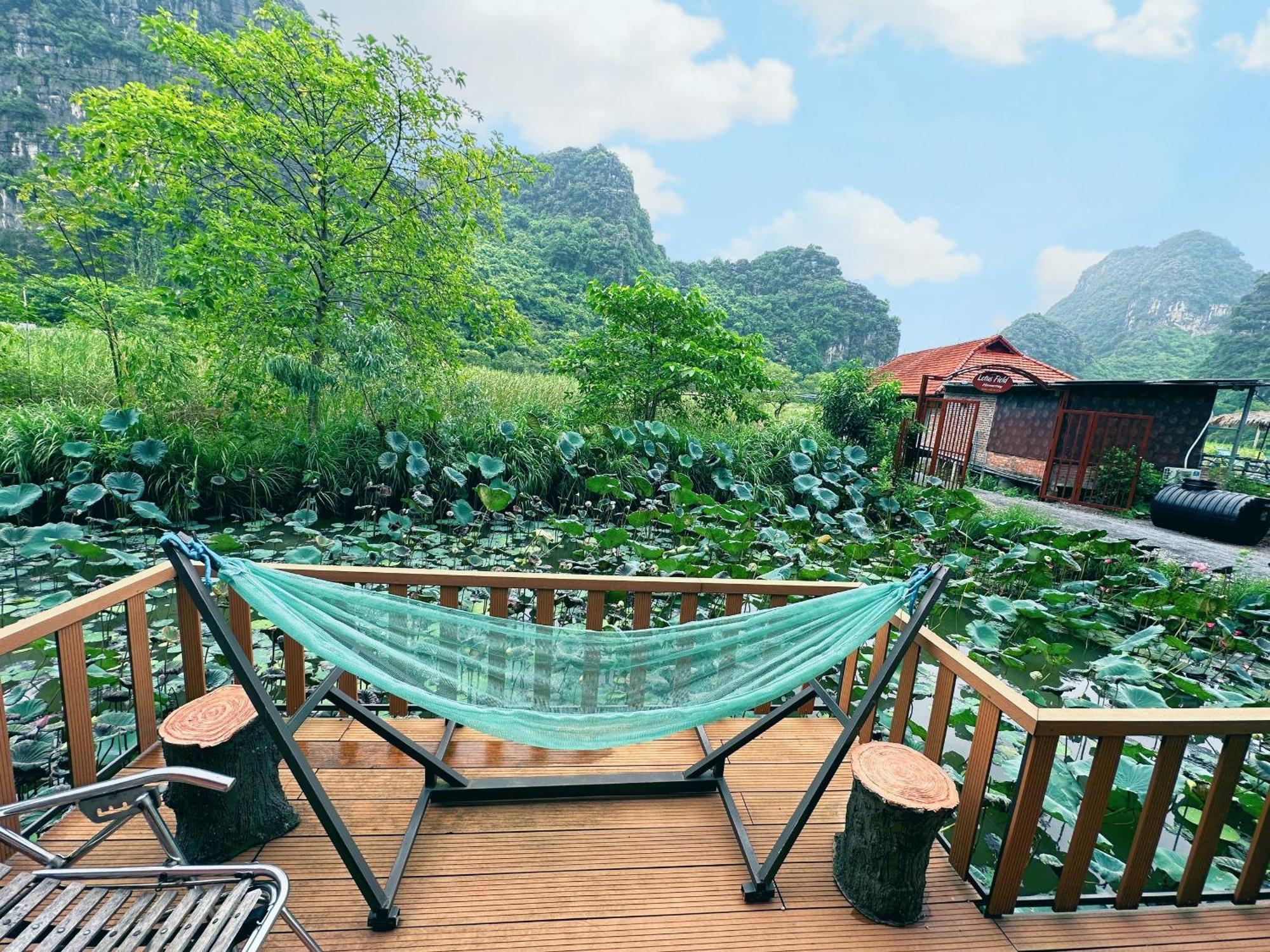 נין בין Lotus Field Homestay מראה חיצוני תמונה